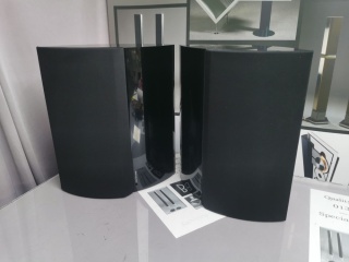 BEOLAB 4000 PASSIVE SPEAKERS